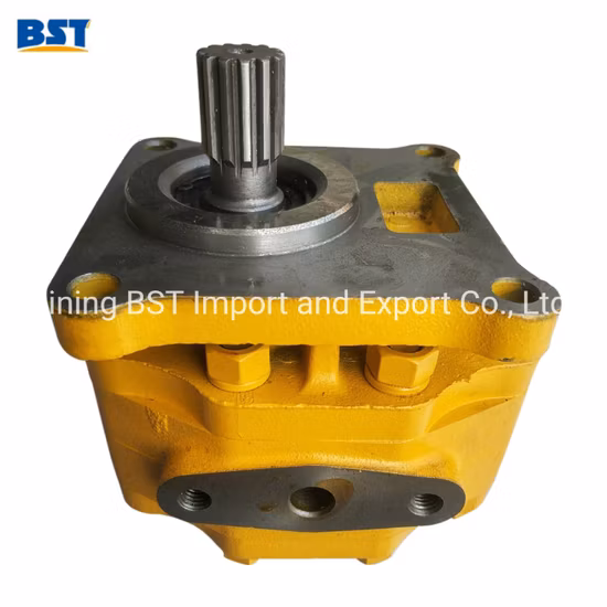 Shantui Caterpillar Bulldozer Excavadora Cummins Weichai Isuzu Perkins Hidráulica/Agua/Inyección de combustible/Aceite/Engranaje/Trabajo/Dirección/Transmisión/Bomba de engranajes